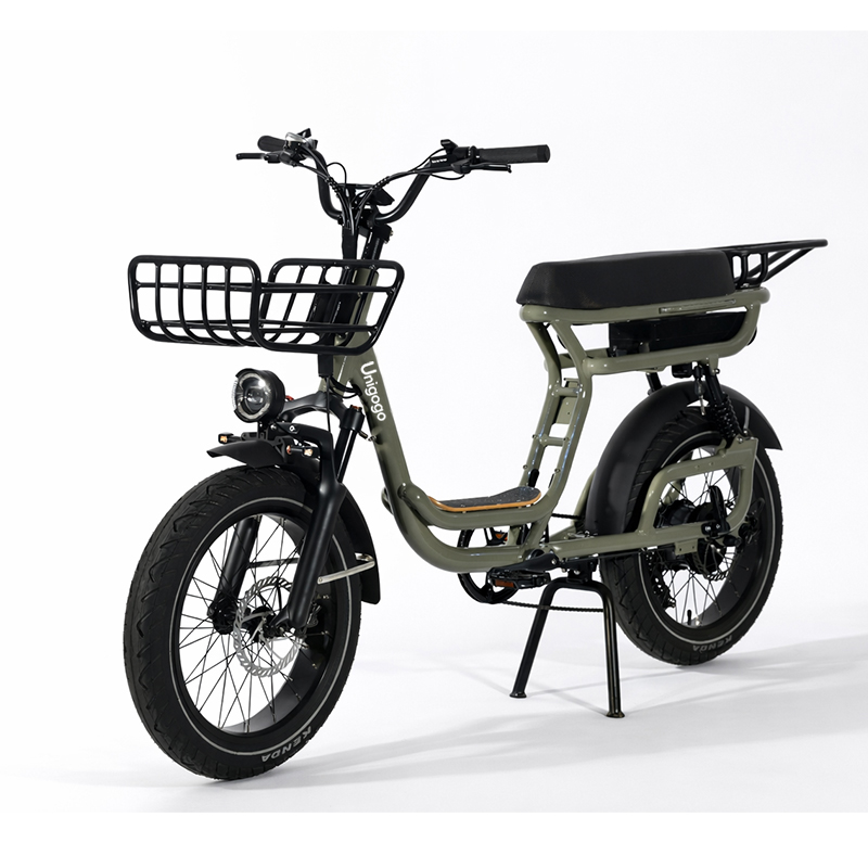 Bicicleta Elétrica de Montanha - Mountain Biking App avaliação e preço