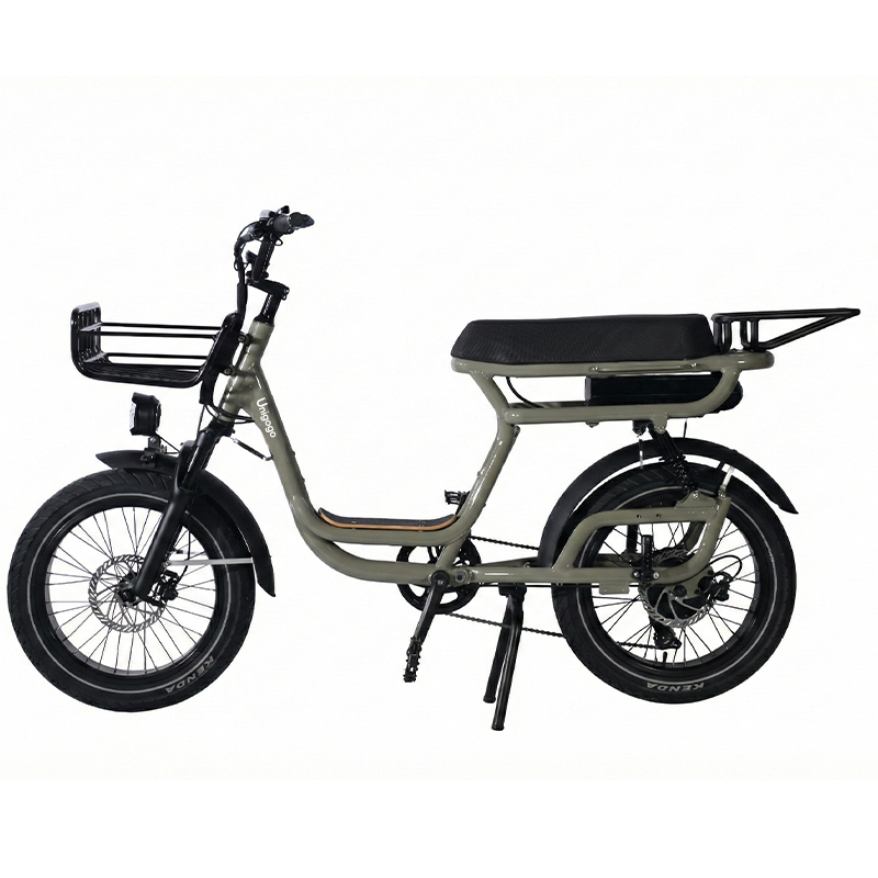 Bicicleta Elétrica de Montanha - Mountain Biking App avaliação e preço